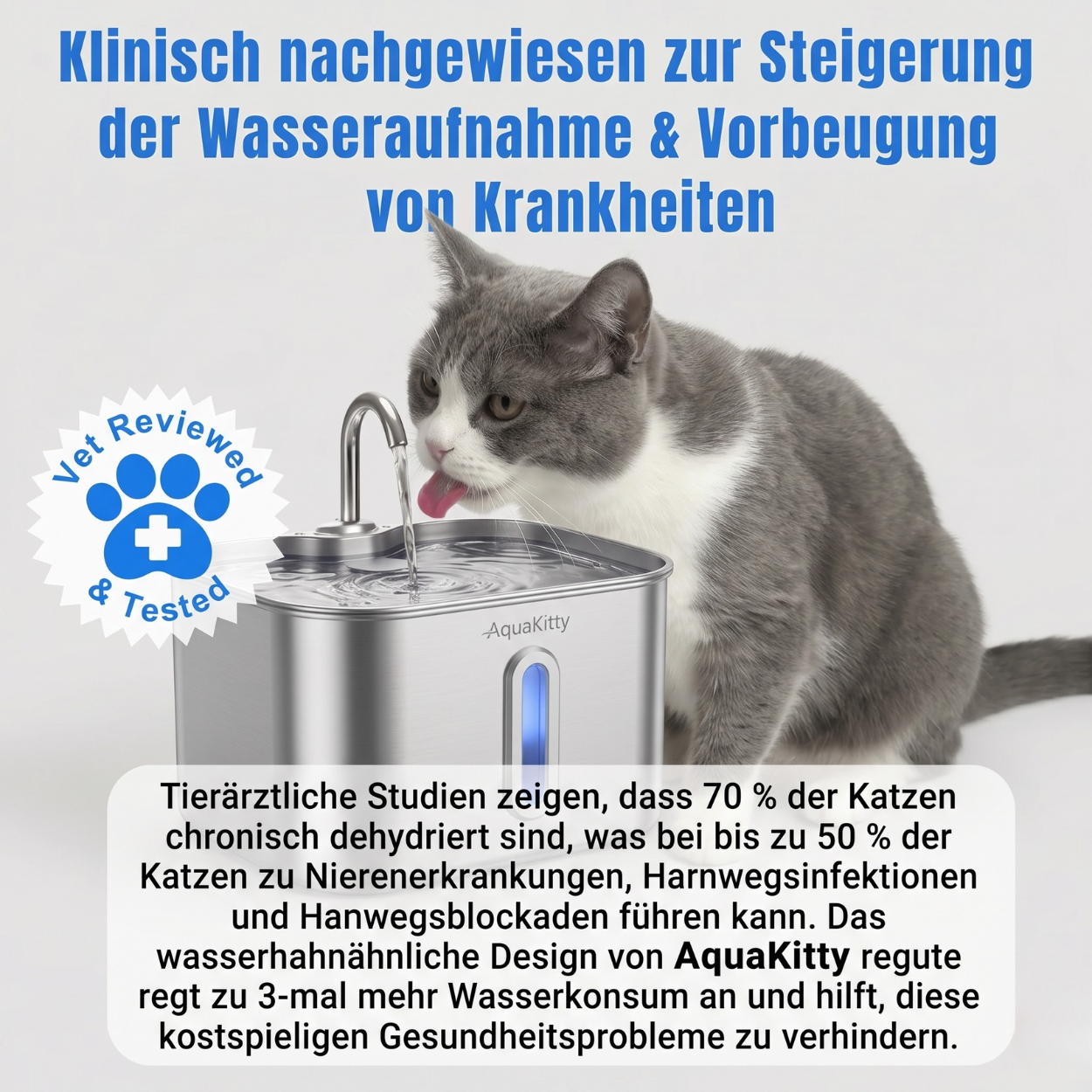 AquaKitty Brunnen